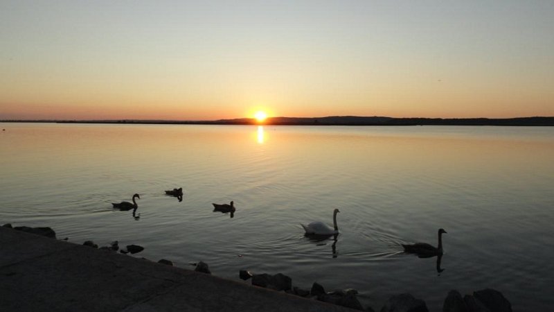 DSC00646 00.JPG - A lemenő nap hattyúkkal. Ez már giccs? De hát nekem ez minden érdek nélkül szép......